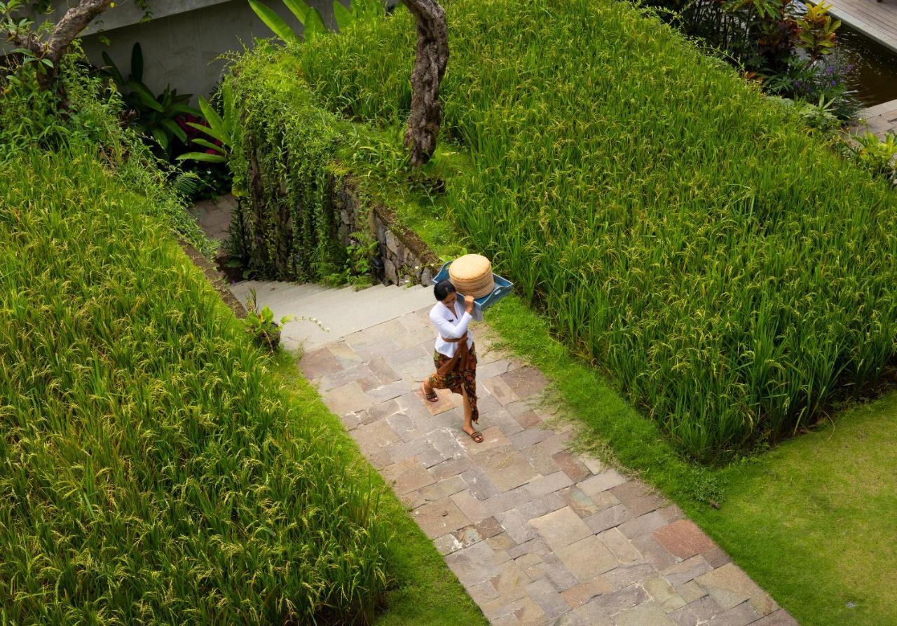Hotel Adiwana Suweta Ubud Exterior foto A farmer in Bali